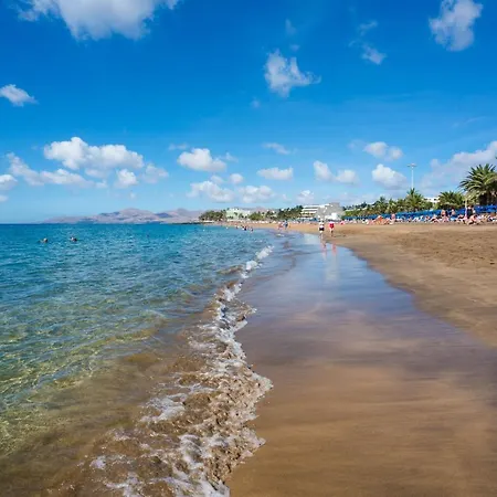 Apartment Ld With Pool, 500m From Playa Chicas *